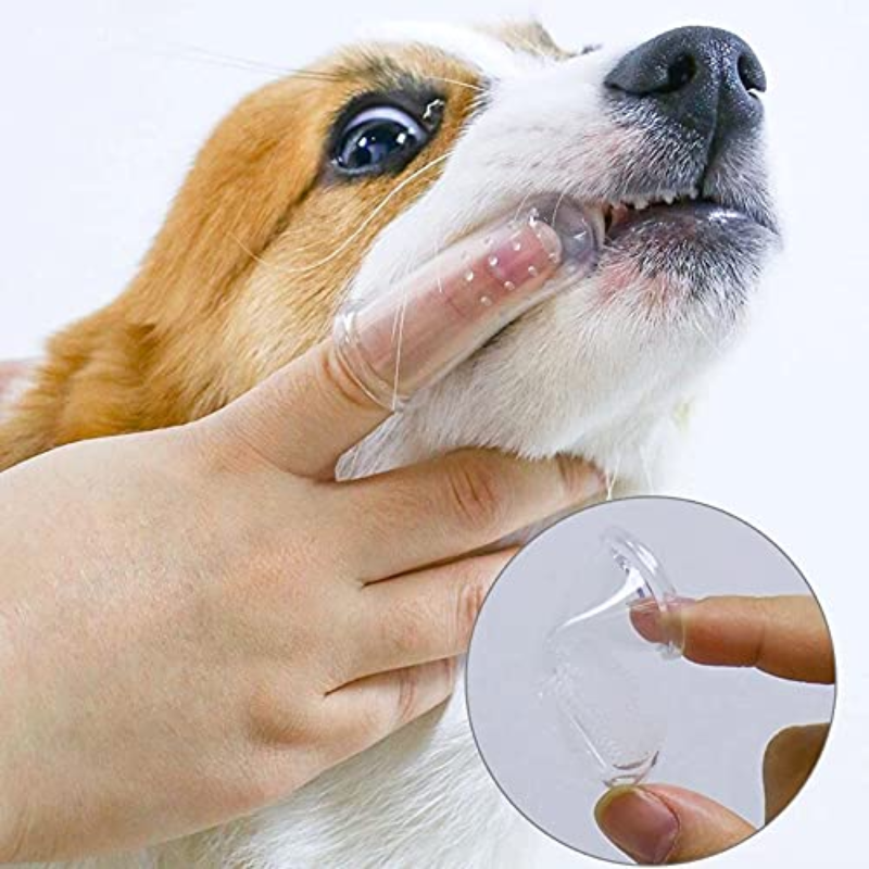 Pet Soft Finger Toothbrush