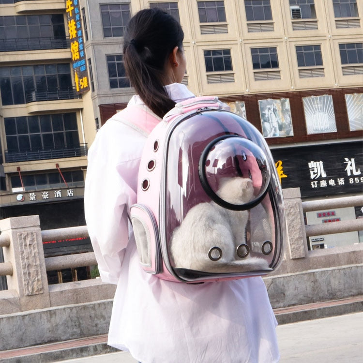 Pet Transparent Window Carrier