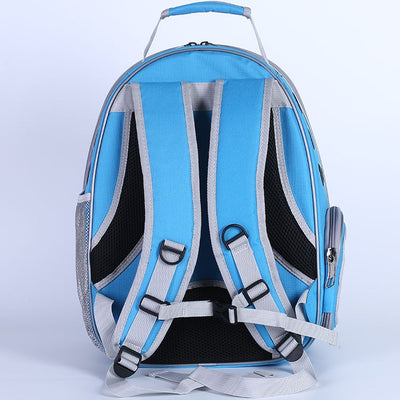 Pet Transparent Window Carrier