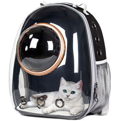 Pet Transparent Window Carrier