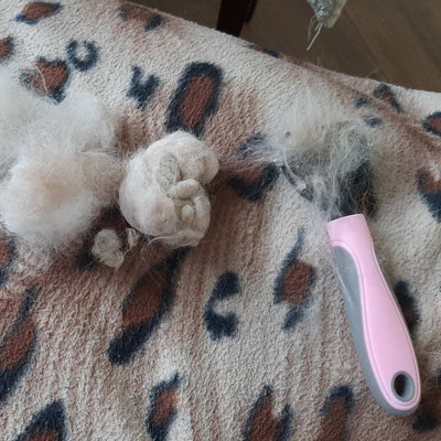 Pet Hair Removal Brush