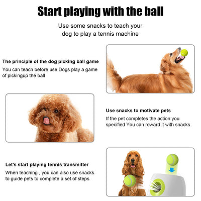 Smart Interactive Dog Ball Launcher